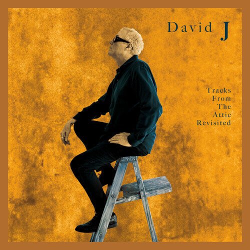 TRACKS FROM THE ATTIC REVISITED