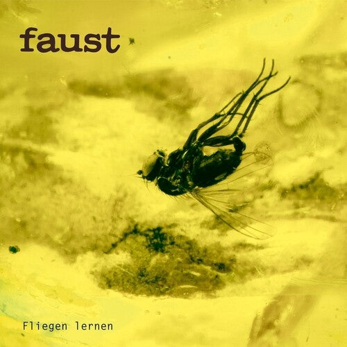 FLIEGEN LERNEN (INDIE EXCLUSIVE)