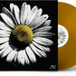 HEART OF GOLD: SONGS OF NEIL YOUNG VOL. 3 - INTO
