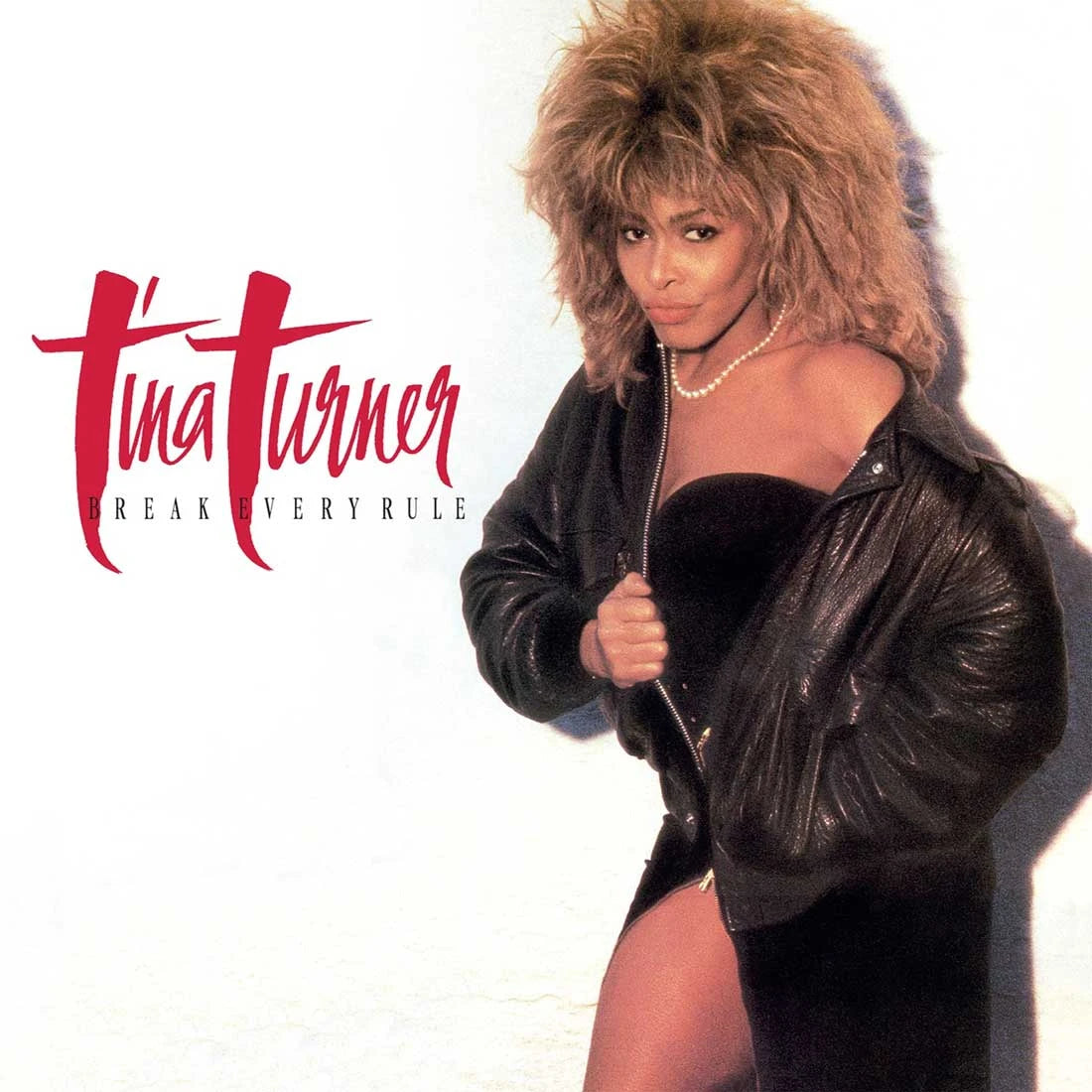 TURNER,TINA - BREAK EVERY RULE Vinyl LP
