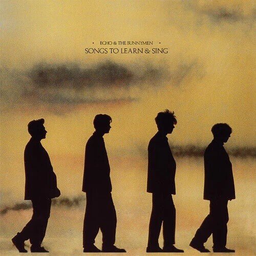 Echo & the Bunnymen - Songs to Learn & Sing Yellow & Black Marble Vinyl LP