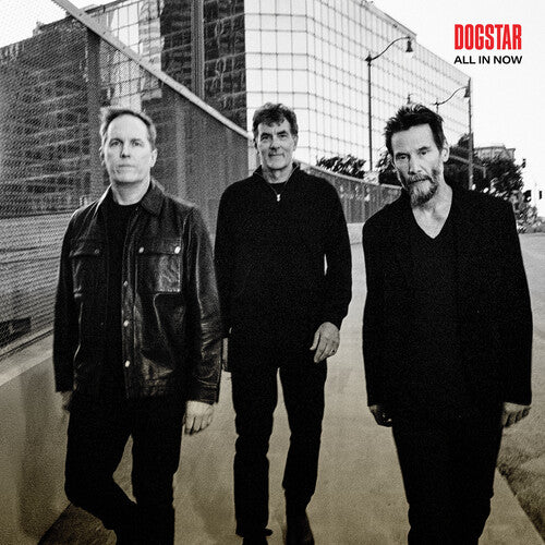 DOGSTAR - ALL IN NOW Vinyl LP