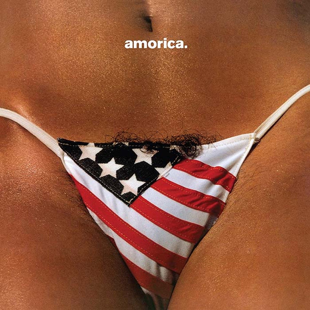 BLACK CROWES - AMORICA Vinyl LP