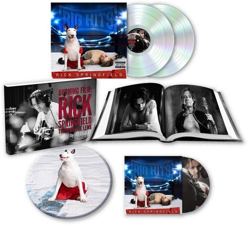 BIG HITS: RICK SPRINGFIELD'S GREATEST HITS VOL. 2