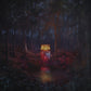 LORD HURON - COSMIC SELECTOR 1 Vinyl LP