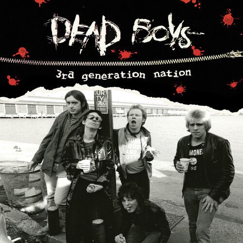 DEAD BOYS - 3RD GENERATION NATION Vinyl LP