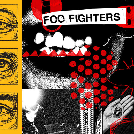 Foo Fighters - Your Favorite Toy Vinyl LP