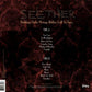 SEETHER - HOLDING ONTO STRINGS BETTER LEFT TO FRAY Vinyl LP