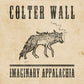 WALL,COLTER - IMAGINARY APPALACHIA Vinyl LP