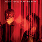 GABRIEL,PETER - IN THE BIG ROOM Vinyl LP