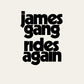 JAMES GANG RIDES AGAIN