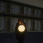 FLOCK OF DIMES - LIFE YOU SAVE - CITRUS Vinyl LP