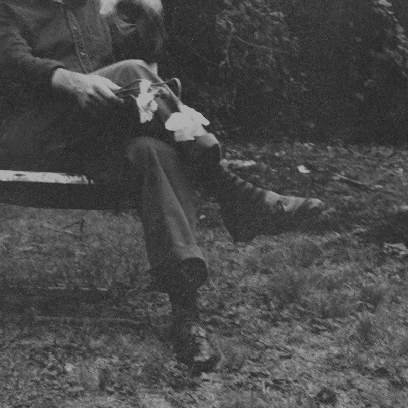 LONG SURRENDER