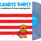 LULLABY RENDITIONS OF BRUCE SPRINGSTEEN
