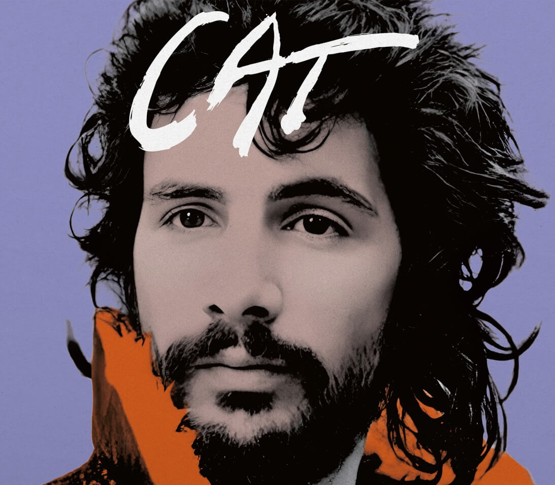 YUSUF ( STEVENS,CAT ) - ON THE ROAD TO FINDOUT: GREATEST HITS Vinyl LP