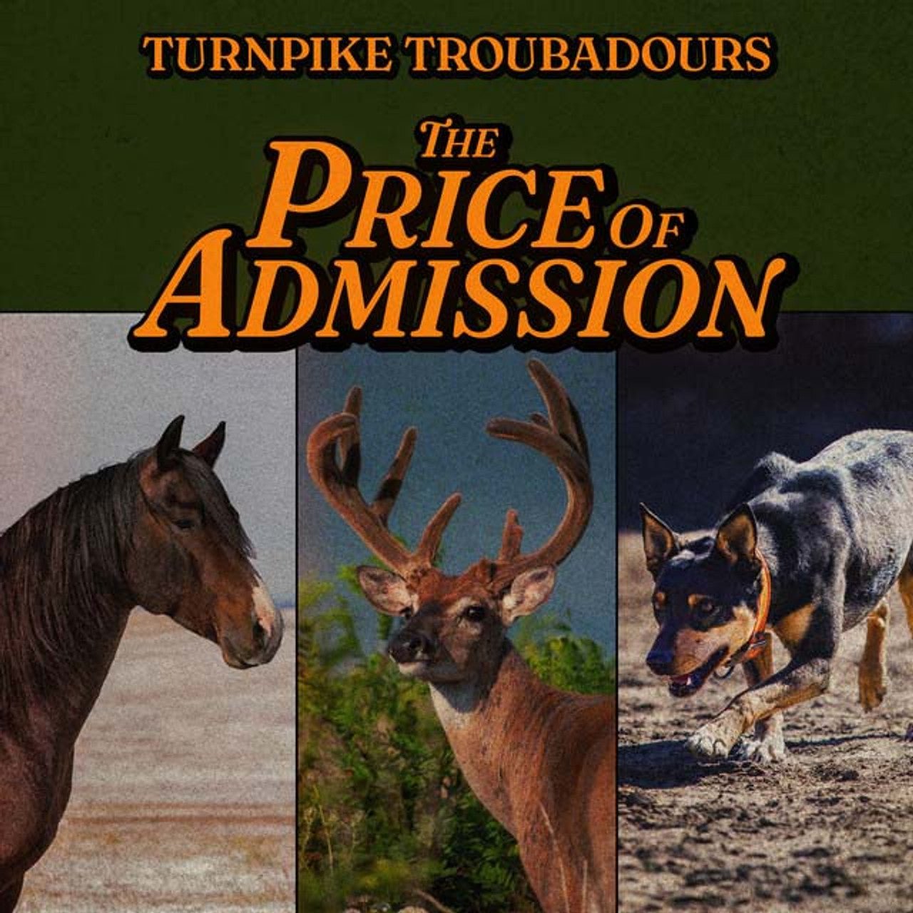 TURNPIKE TROUBADOURS - PRICE OF ADMISSION Vinyl LP