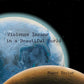 TAYLOR,ROGER - VIOLENCE INSANE IN A BEAUTIFUL WORLD Vinyl LP