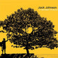 Jack Johnson - In Between Dreams Canary Yellow Vinyl LP