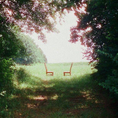 SINGIN' TO AN EMPTY CHAIR (IEX) - GREEN & BROWN