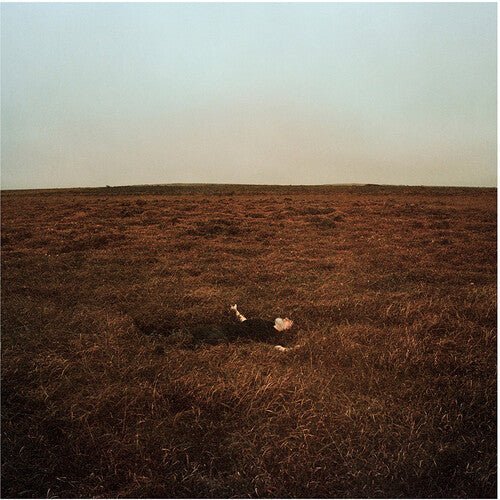 FINK - CITY IS COMING TO ERASE IT ALL Vinyl LP