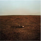 FINK - CITY IS COMING TO ERASE IT ALL Colored Vinyl LP
