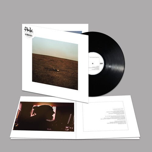 FINK - CITY IS COMING TO ERASE IT ALL Vinyl LP