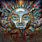 SUBLIME - UNTIL THE SUN EXPLODES Vinyl LP
