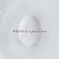 WILCO - GHOST IS BORN Vinyl LP