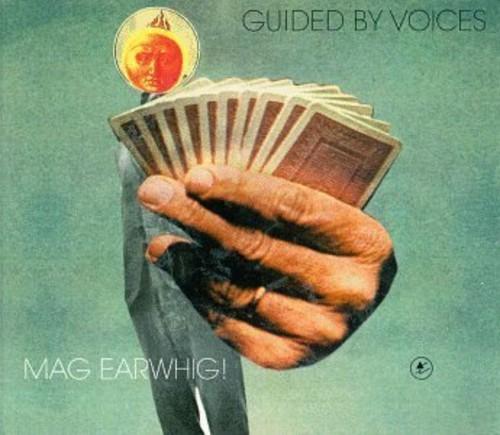 MAG EARWHIG