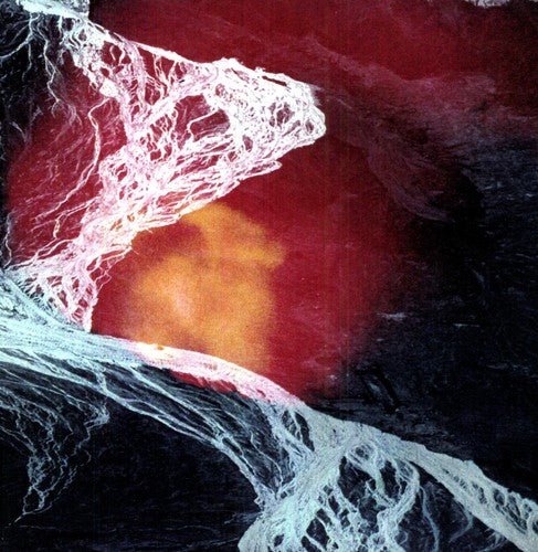 LIGHT SCIENCE