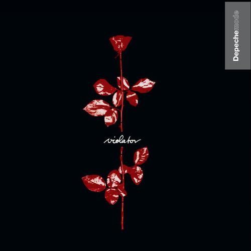 VIOLATOR