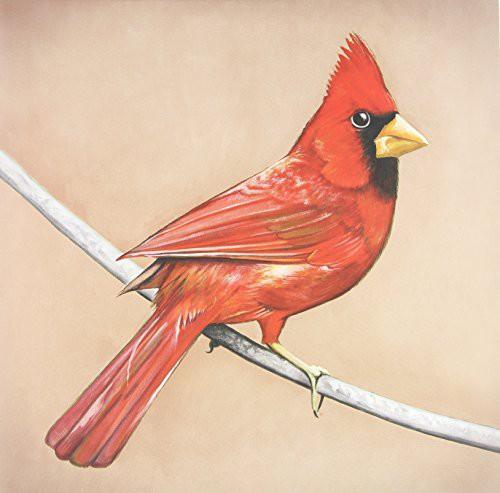 OLD CROWS / YOUNG CARDINALS