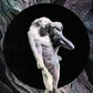 REFLEKTOR