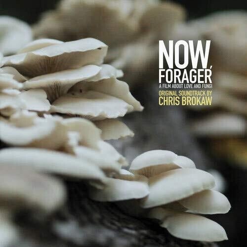 NOW FORAGER - O.S.T.