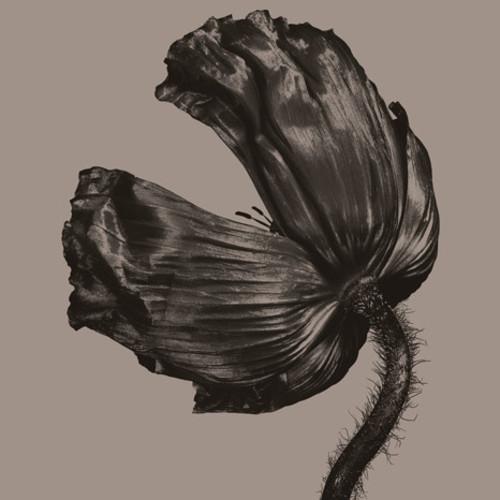 RELEASE (2017 REMASTERED VERSION)