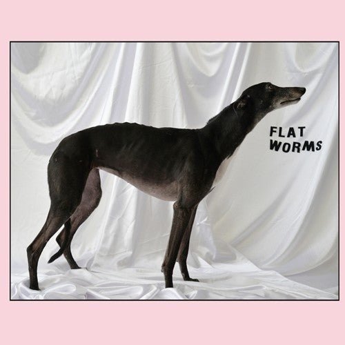 FLAT WORMS