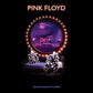 PINK FLOYD - DELICATE SOUND OF THUNDER Vinyl LP