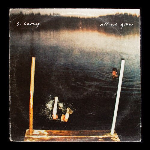 S. CAREY 'ALL WE GROW (TEN YEAR ANNIVERSARY ED.)