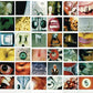 PEARL JAM - NO CODE Vinyl LP