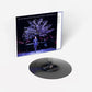 RUFUS WAINWRIGHT AND AMSTERDAM SINFONIETTA (LIVE)