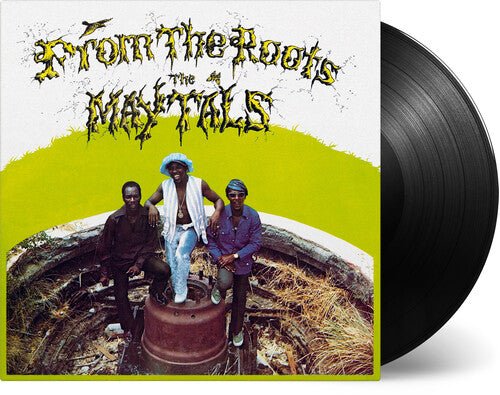 FROM THE ROOTS