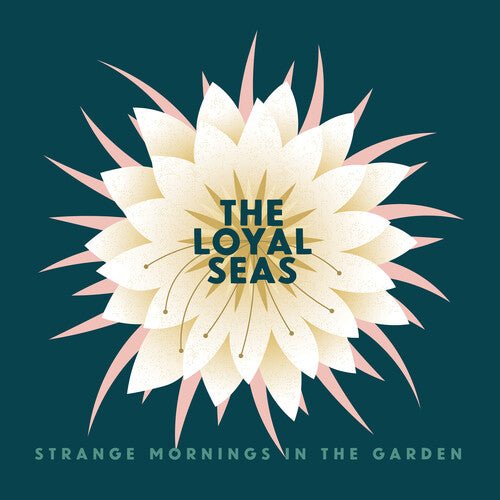 STRANGE MORNINGS IN THE GARDEN (PINK ROSE)