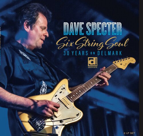 SIX STRING SOUL: 30 YEARS ON DELMARK