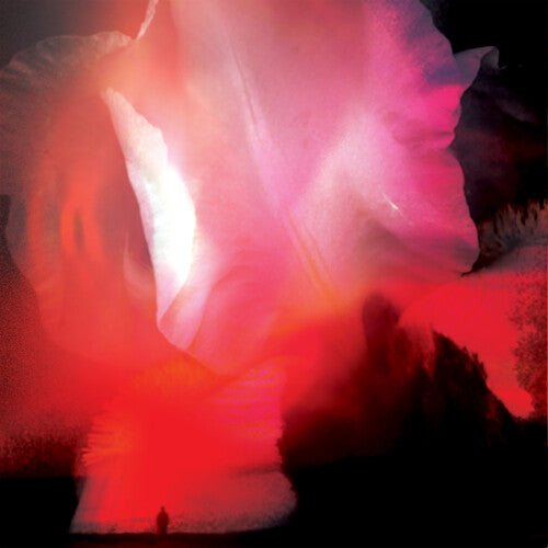 RUMSKIB - RED