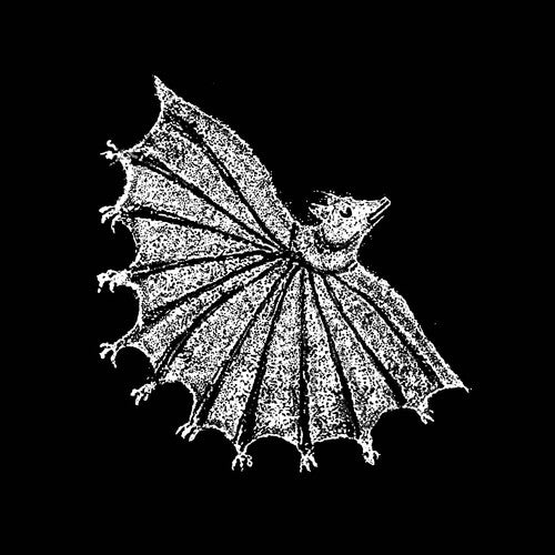 IGNORE GRIEF - SILVER GHOST