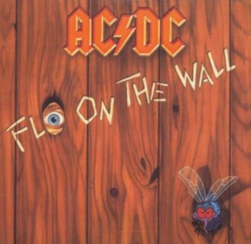 FLY ON THE WALL