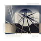 ENO,BRIAN - FOREVERANDEVERNOMORE Vinyl LP