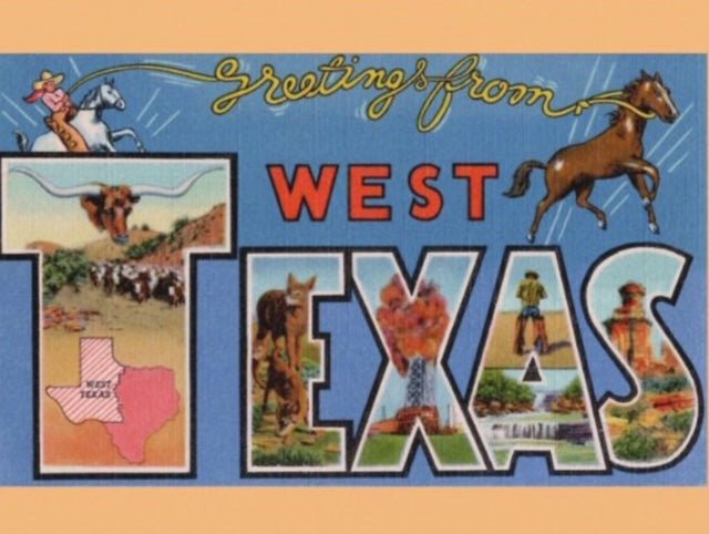 Mike Flanigin - West Texas Blues Longhorn Picture Disc w/ Signed Postcard Vinyl LP