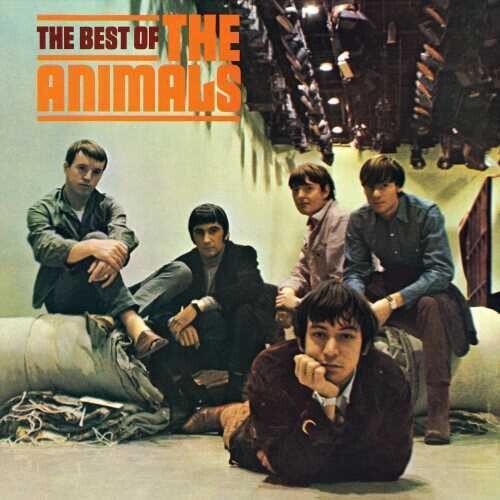 BEST OF THE ANIMALS