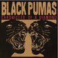 BLACK PUMAS - CHRONICLES OF A DIAMOND Vinyl LP